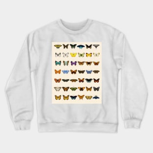 Watercolor Butterfly Chart Crewneck Sweatshirt